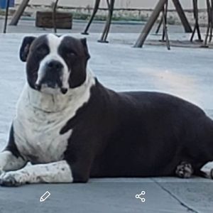 Meet your Posher, Danny